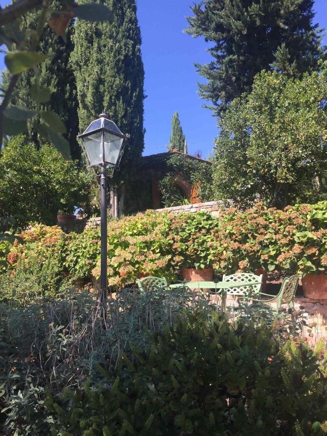 Cipressini *